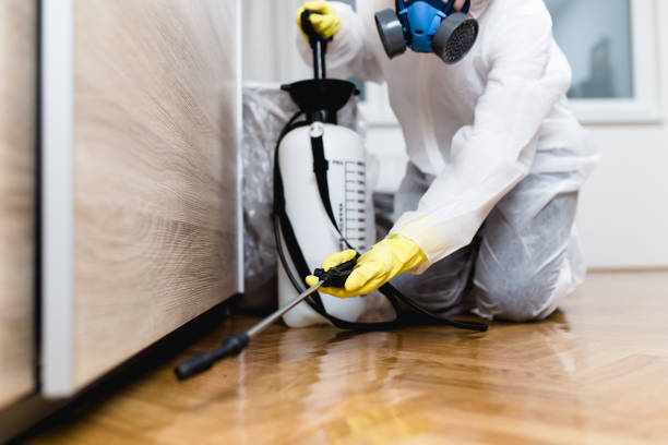 Best Pest Inspection Near Me  in Clearwater, FL