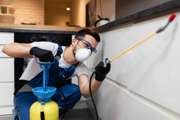 Best Pest Prevention Services  in Clearwater, FL
