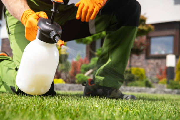 Best Spider Control Near Me  in Clearwater, FL