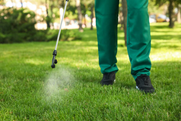 Best Emergency Pest Control  in Clearwater, FL