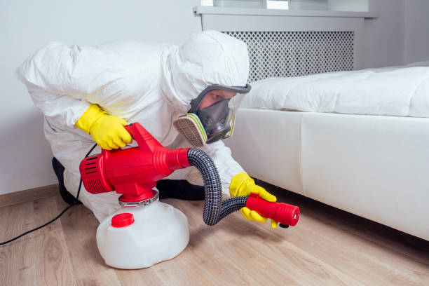 Best Best Pest Control Companies  in Clearwater, FL