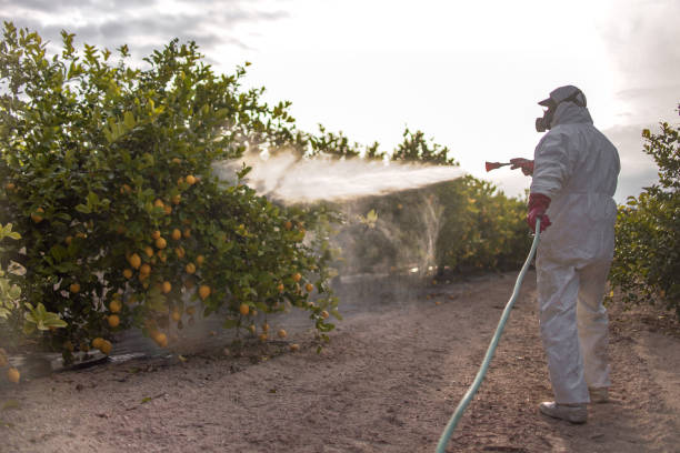 Best Commercial Pest Control Services  in Clearwater, FL