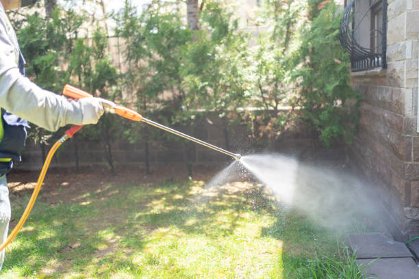Best Mosquito Control Services  in Clearwater, FL