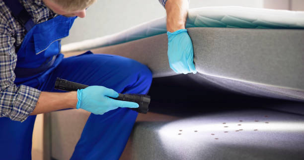 Best Best Pest Control Companies  in Clearwater, FL