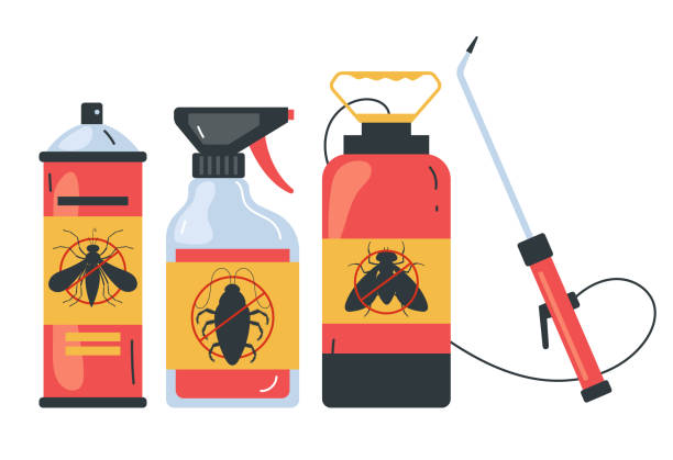 Best Affordable Pest Control Services  in Clearwater, FL